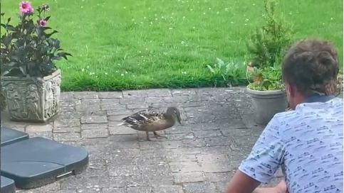 Golf fans react as Justin Thomas FEEDS A DUCK at The Open Championship